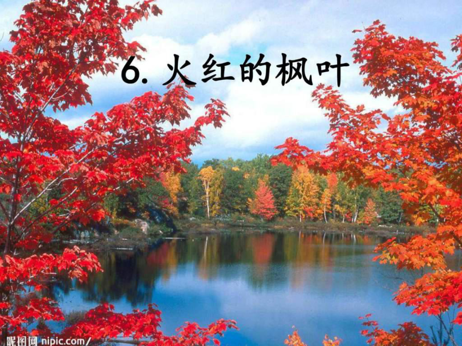 2020年蘇教版語文二年級上冊火紅的楓葉-ppt課件_第5頁
