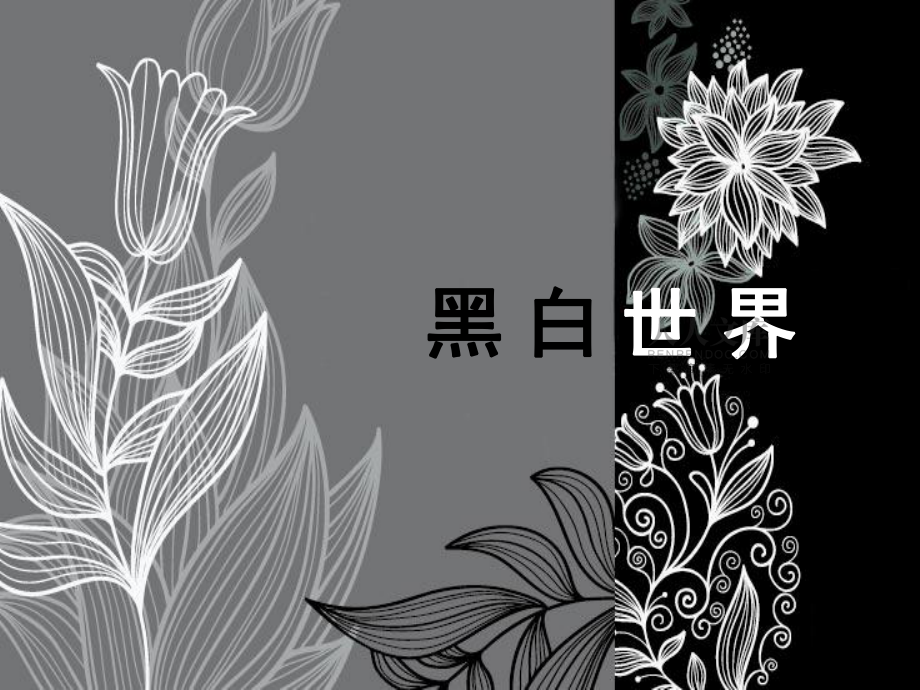 小學(xué)美術(shù)課件-第16課黑白畫-廣西版(17張PPT)ppt課件_第2頁