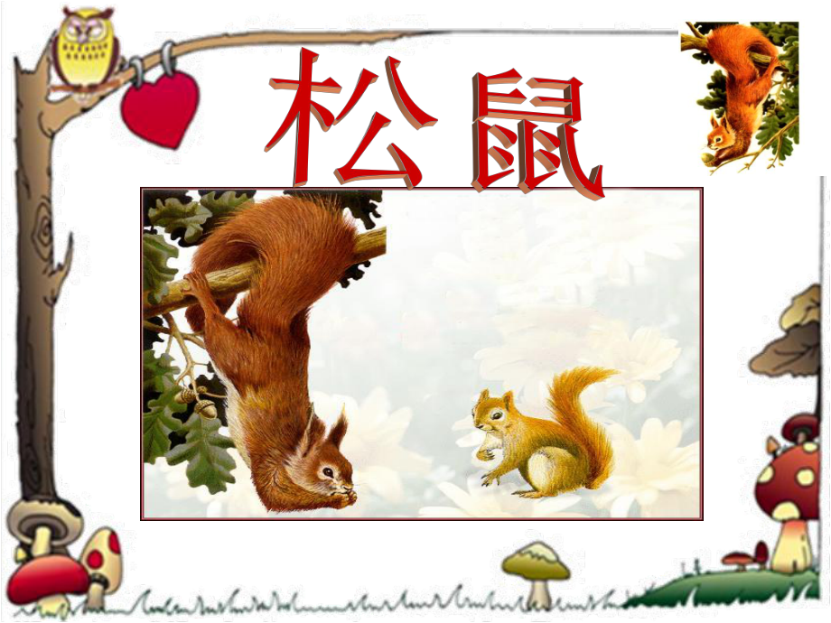 最新人教版語(yǔ)文五年級(jí)上冊(cè)松鼠說(shuō)課課件_第1頁(yè)