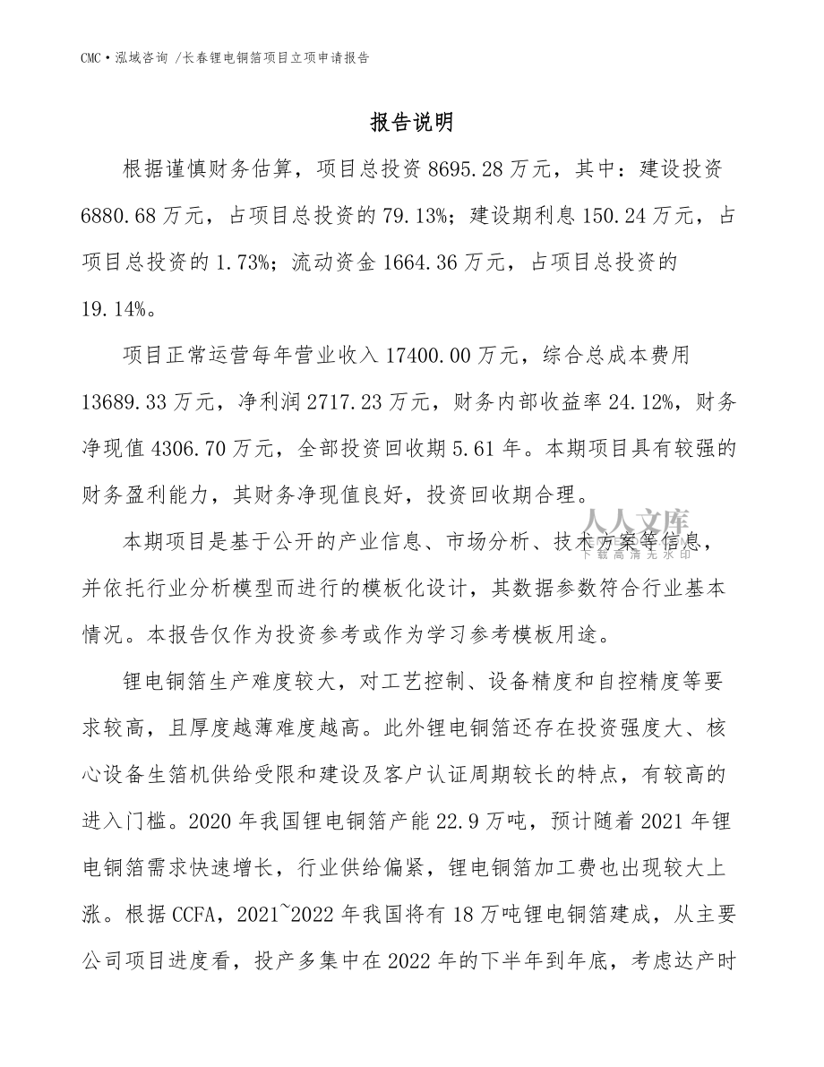 長春鋰電銅箔項目立項申請報告_模板范文_第2頁