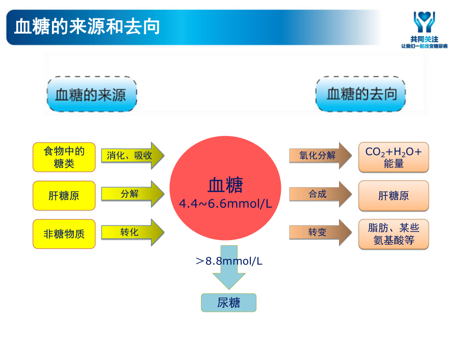 糖尿病教育之教育_第4页