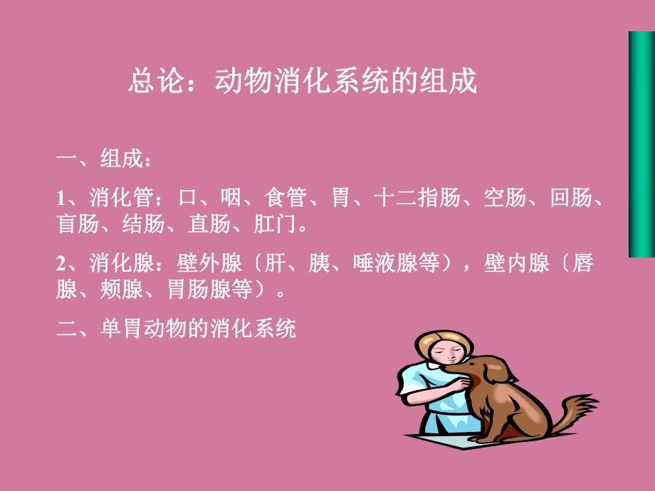 動物消化系統ppt課件_第4頁
