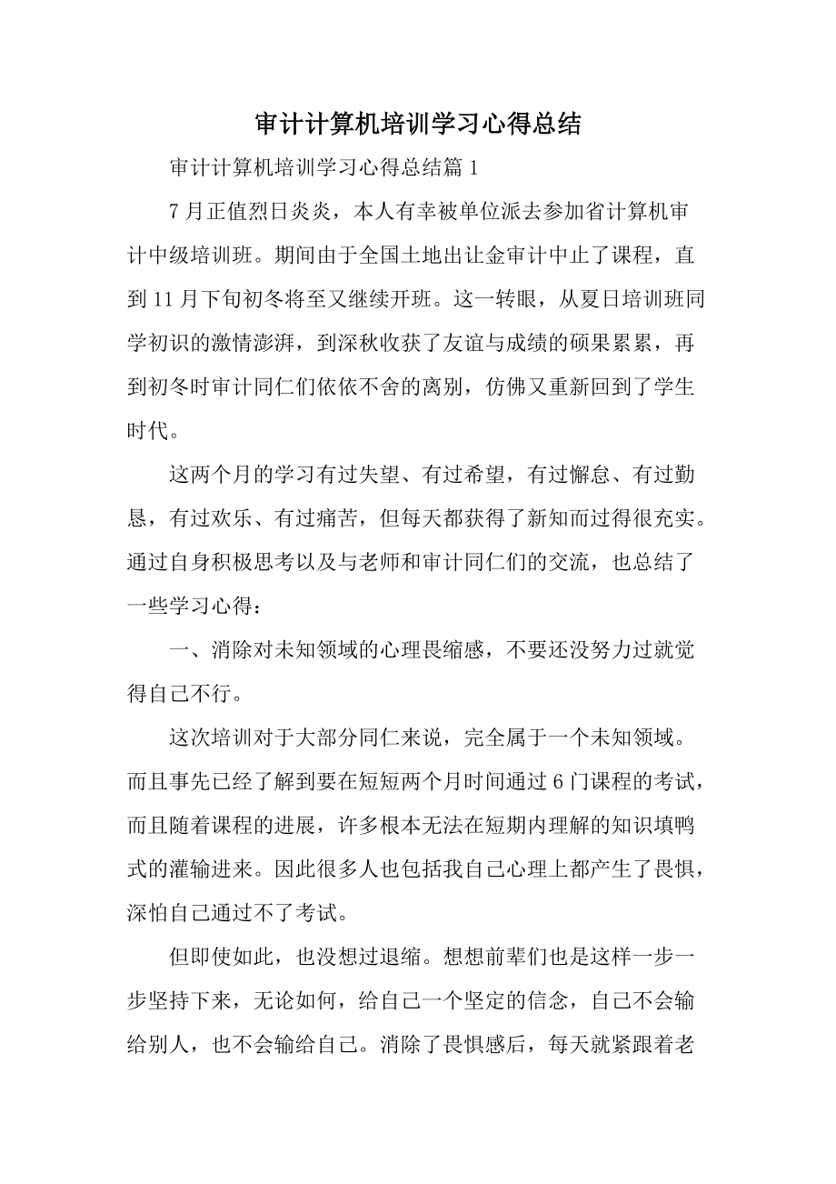 審計計算機培訓學習心得總結_第1頁