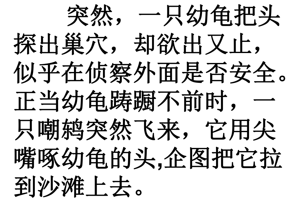 《自然之道》PPT_第5页