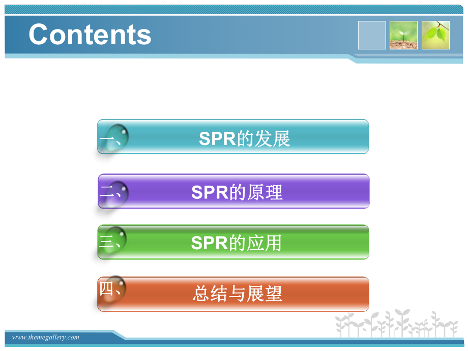 表面等離子共振技術(SPR)_第2頁