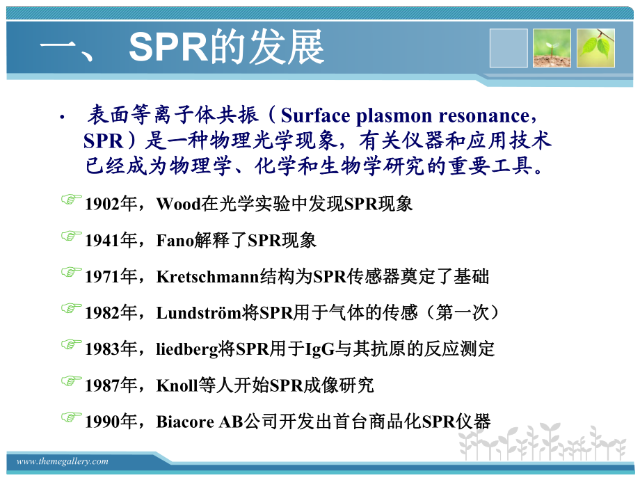 表面等離子共振技術(SPR)_第3頁