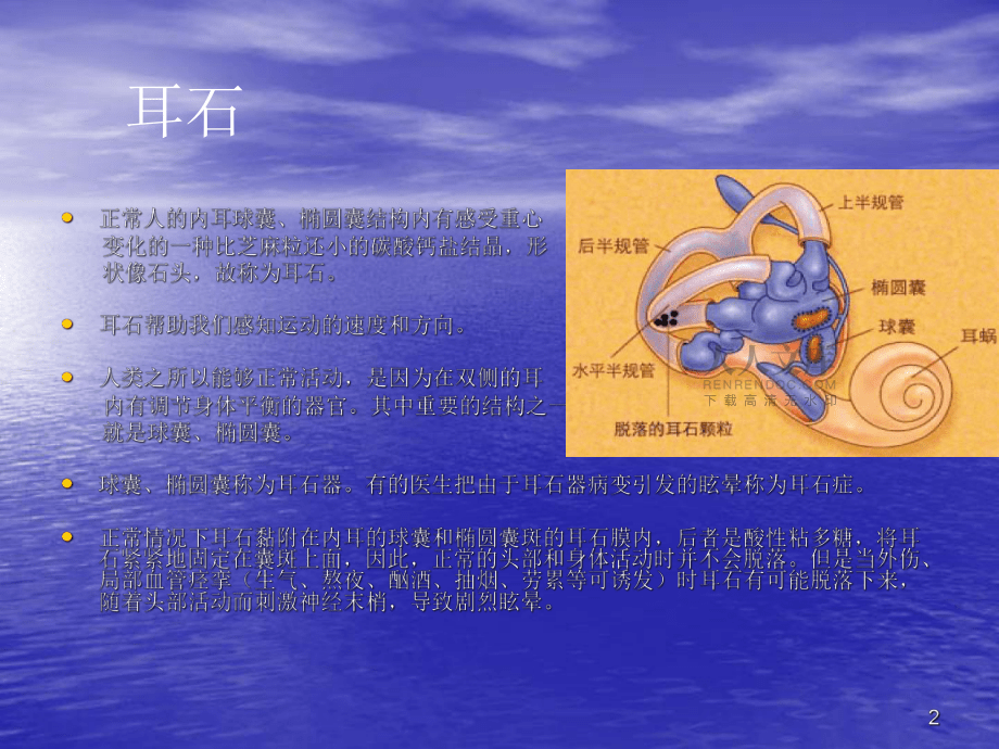耳石癥ppt課件_第2頁