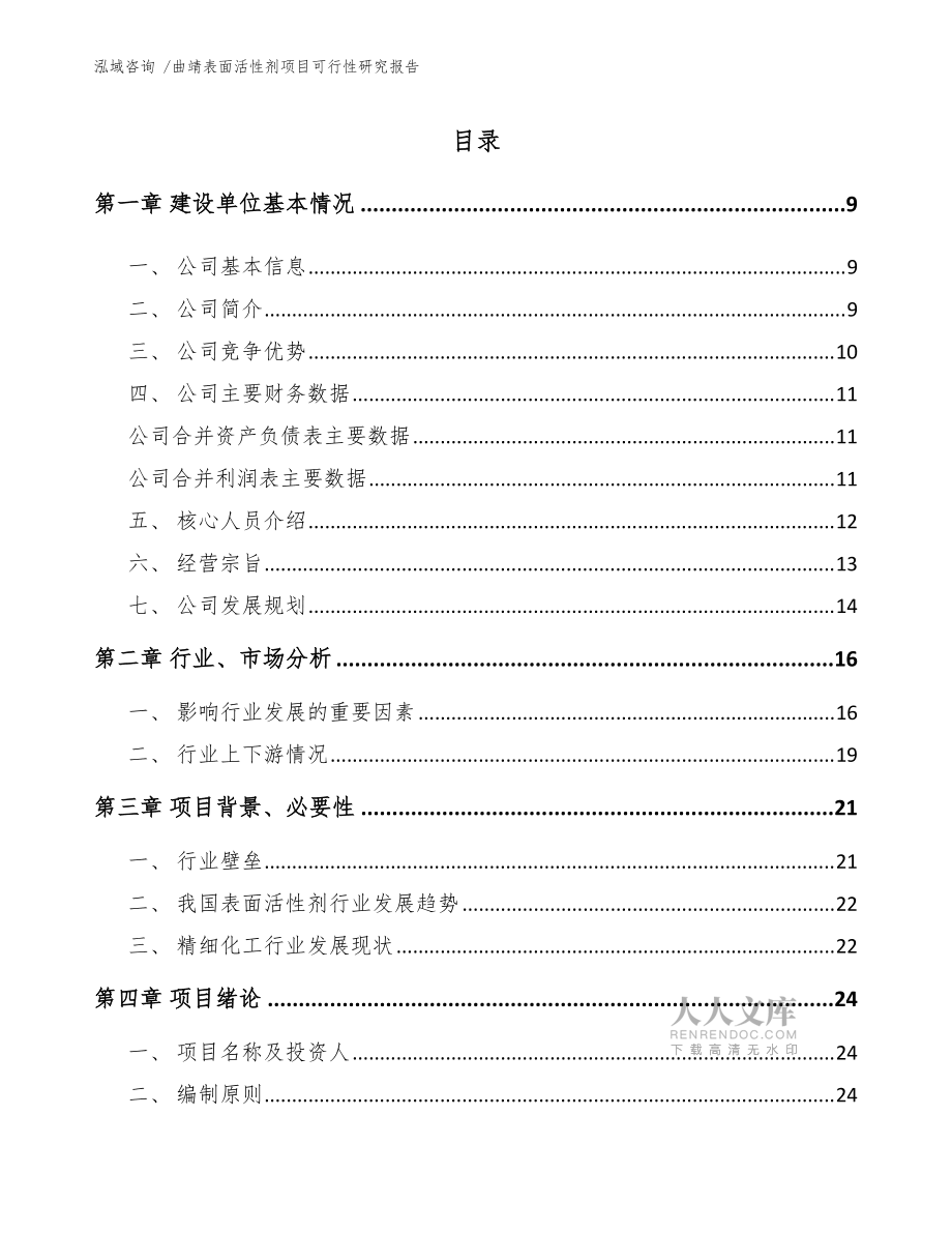 曲靖表面活性剂项目可行性研究报告(范文模板)_第2页