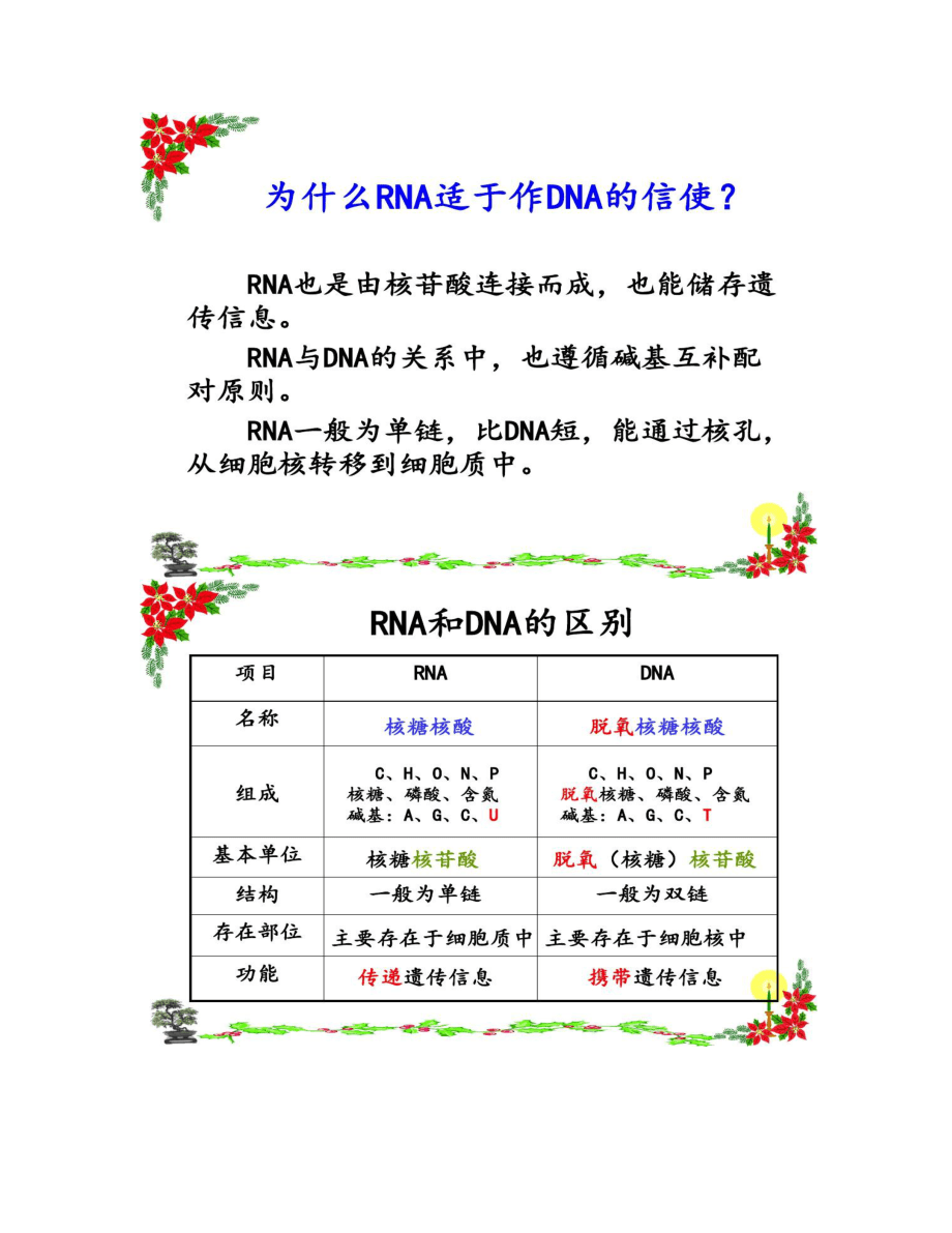 基因指导蛋白质的合成PPT_第5页