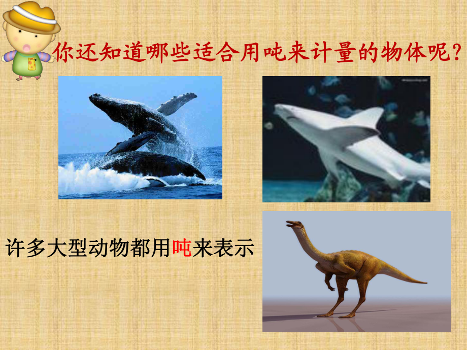 噸的認識 史懌文_第5頁