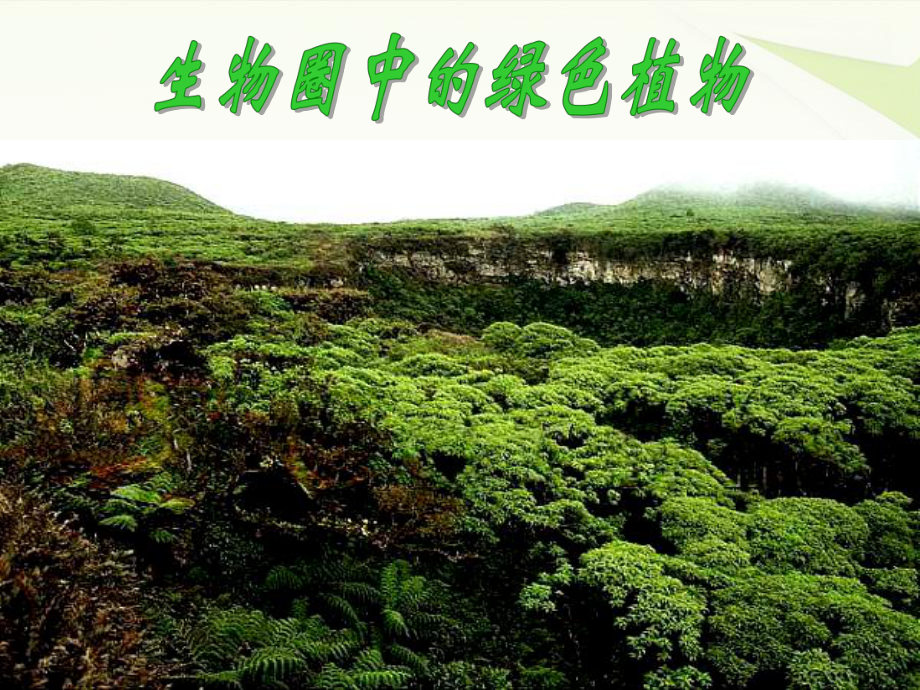 七年级上册生物311藻类、苔藓和蕨类植物_第1页