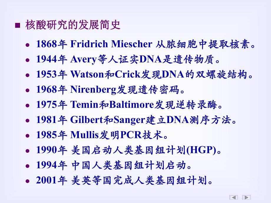 核酸的结构和功能_第4页