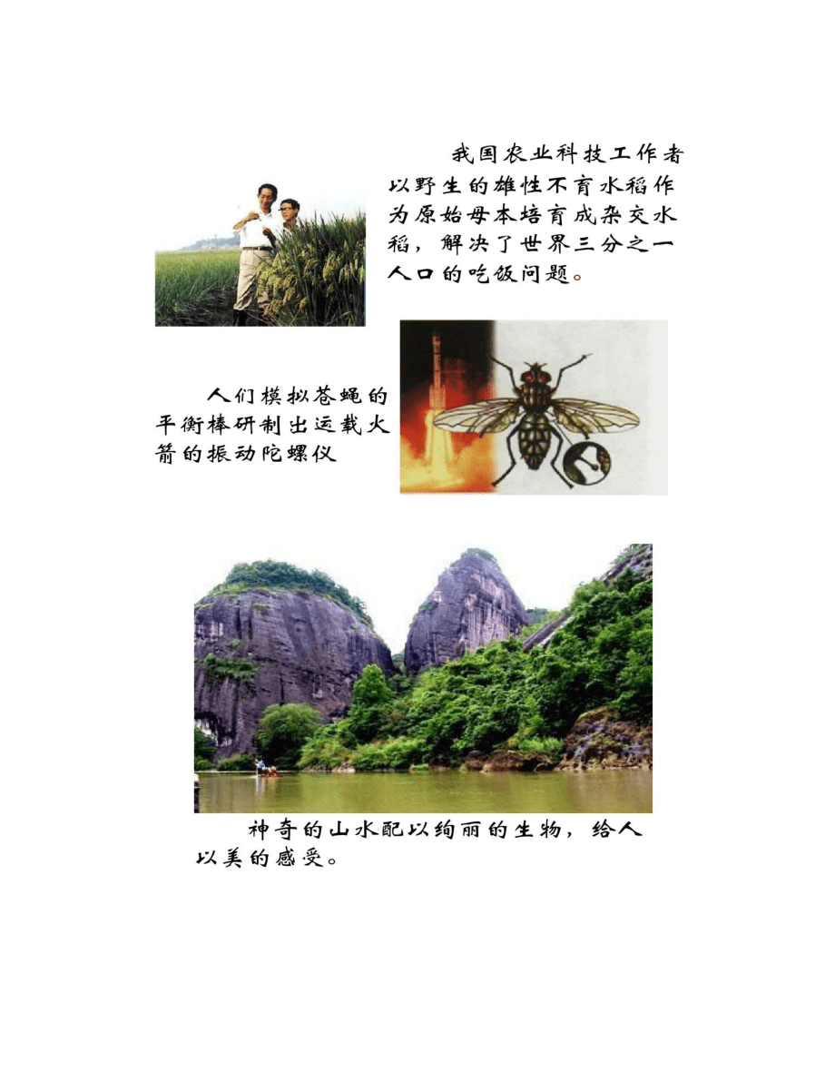高二生物创造人与自然的和谐_第3页
