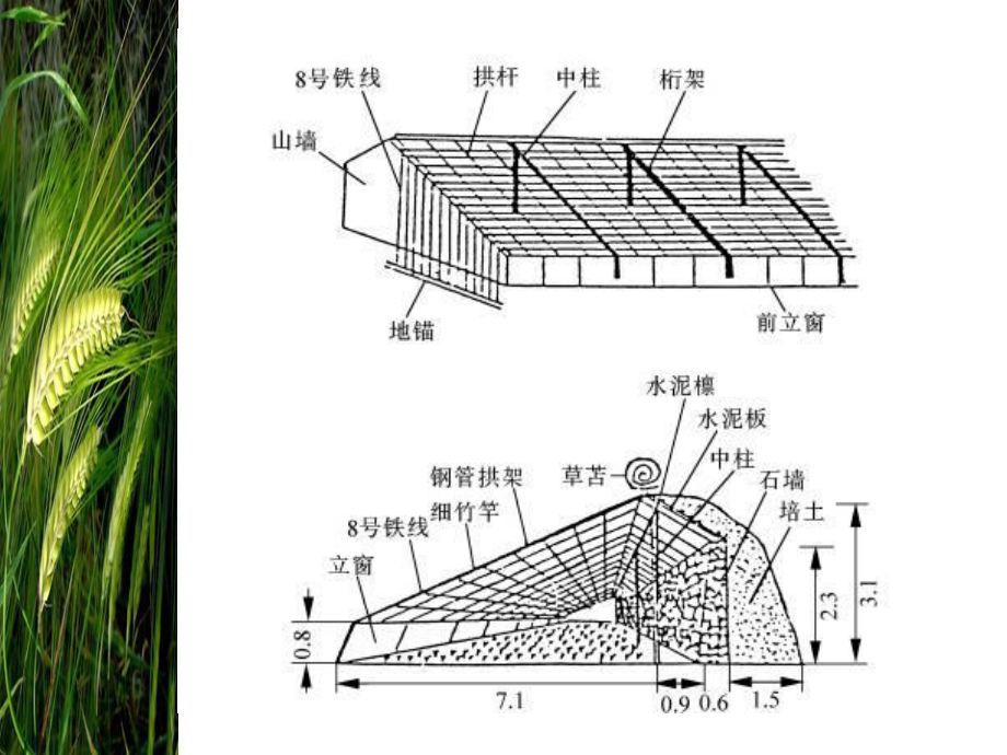 温室结构 病虫害温室管理_第3页
