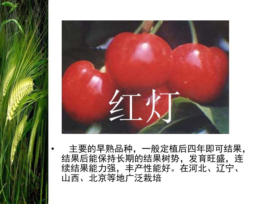 温室结构 病虫害温室管理_第5页