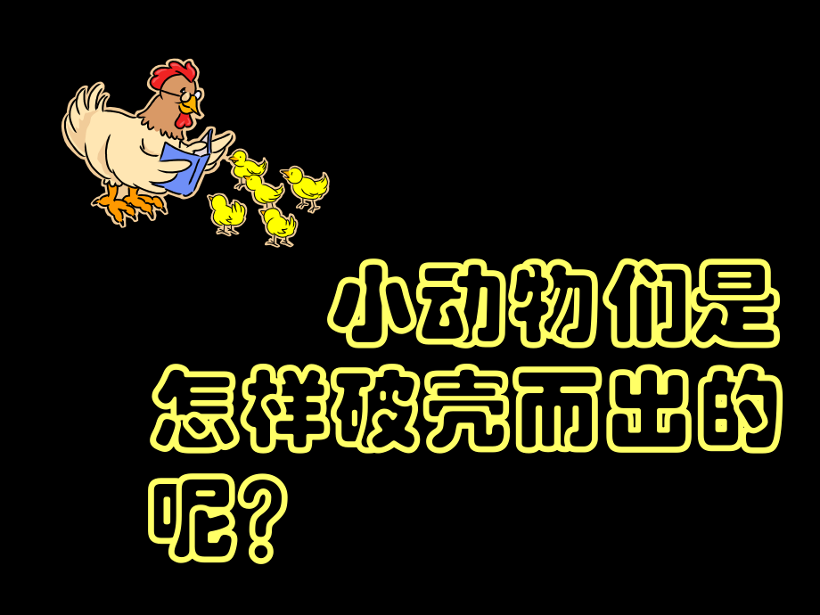 (人美版)二年级美术下册课件出壳了1_第5页
