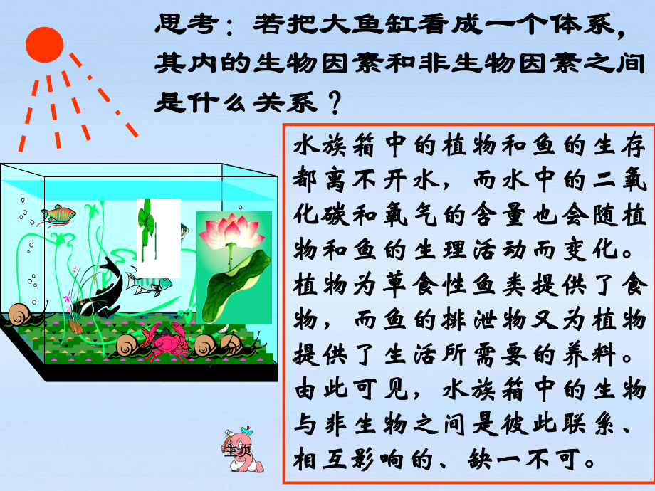 生態(tài)系統(tǒng)的組成食物鏈和食物網(wǎng)課件(生物)_第4頁(yè)