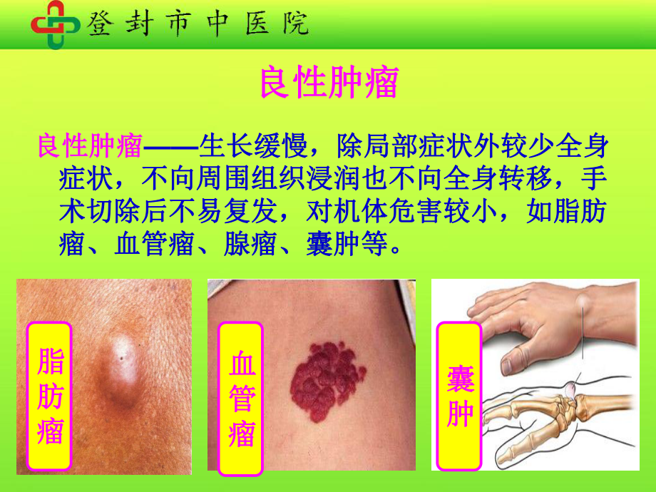 肿瘤的中医治疗_第4页