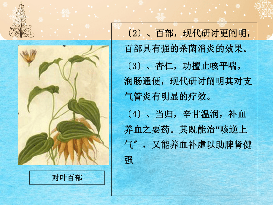 慢性支气管炎怎么治ppt课件_第5页