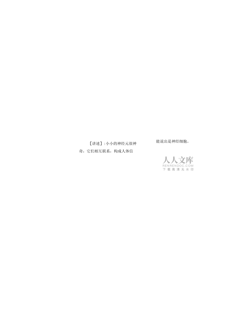 第1节人体的神经调节3课时_第2页