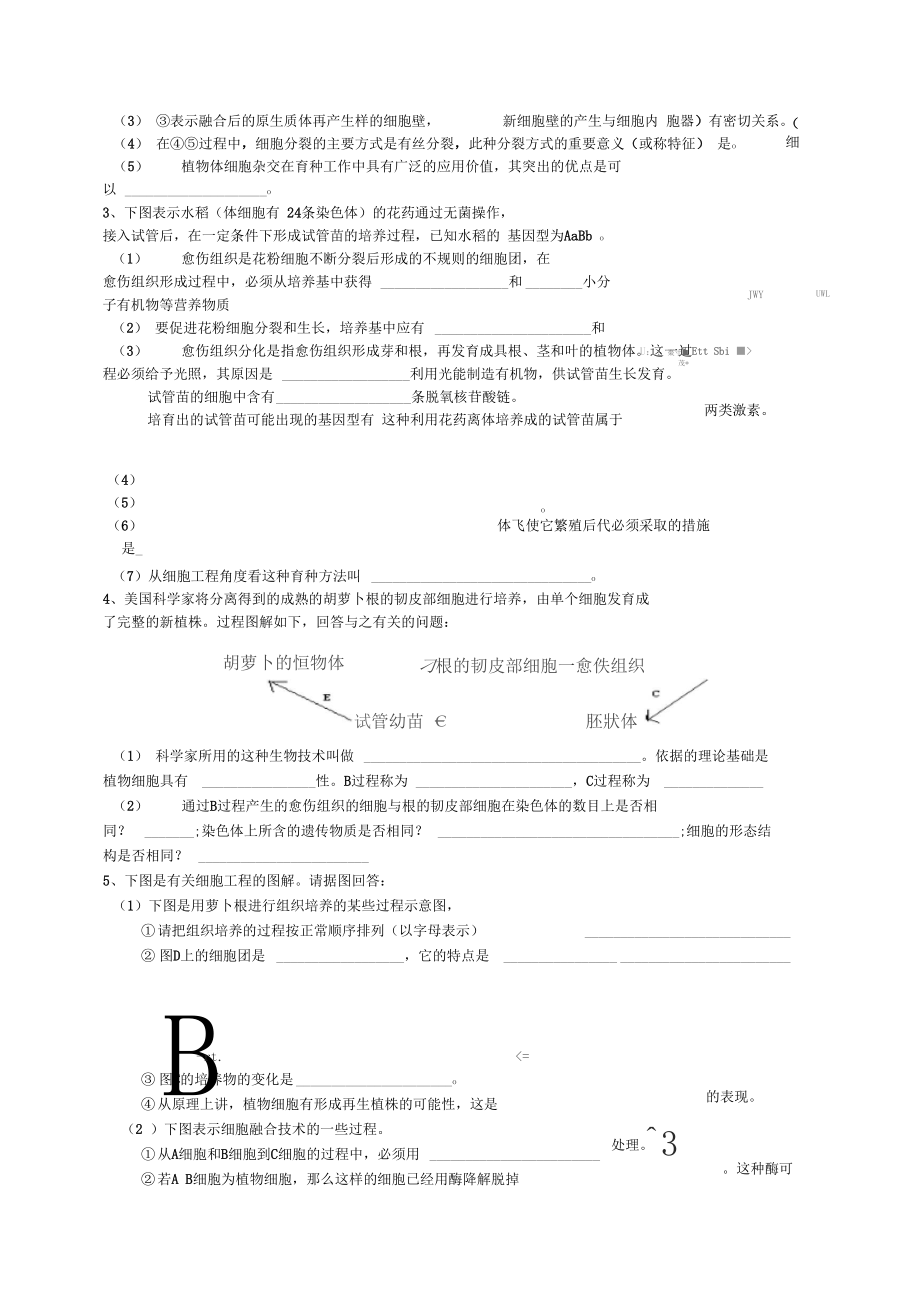 植物細(xì)胞工程一輪復(fù)習(xí)設(shè)計_第4頁