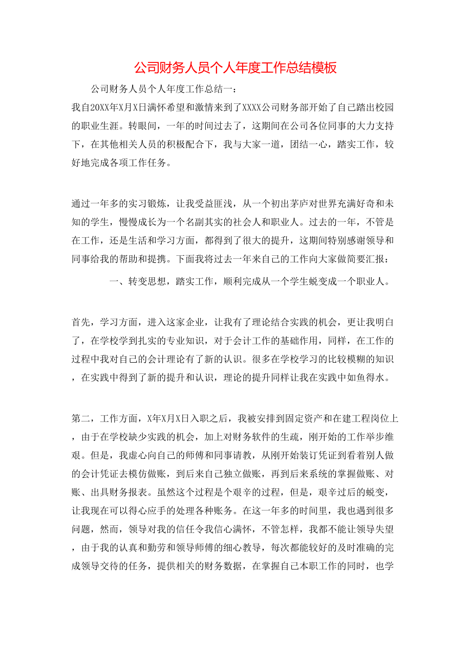 公司财务人员个人年度工作总结模板_第1页