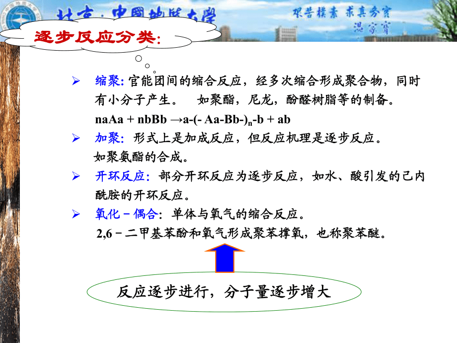第四章逐步聚合反应_第3页