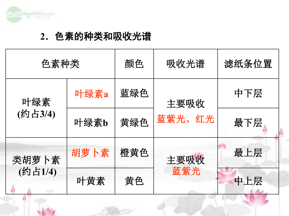 第三单元第11讲能量之源_第4页