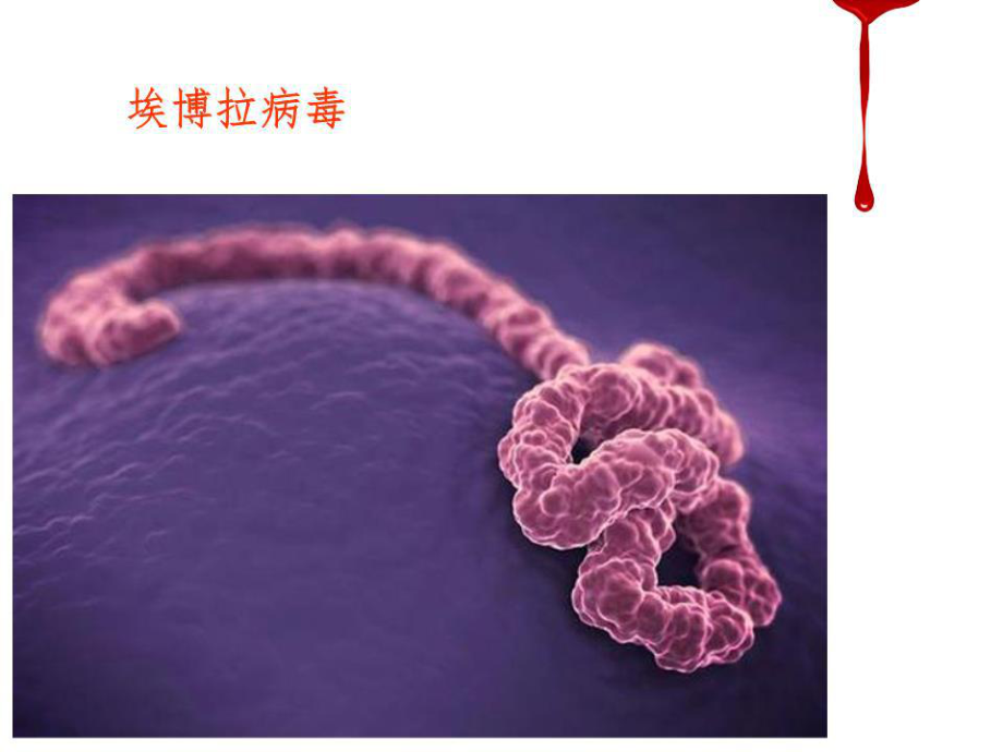 影響傳染病流行的社會因素.ppt_第3頁