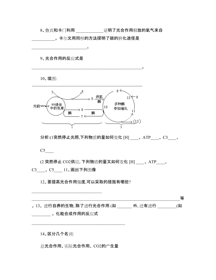 高中生物人教版必修1全冊復習提綱:第5章第4節(jié)能量之源―_第3頁