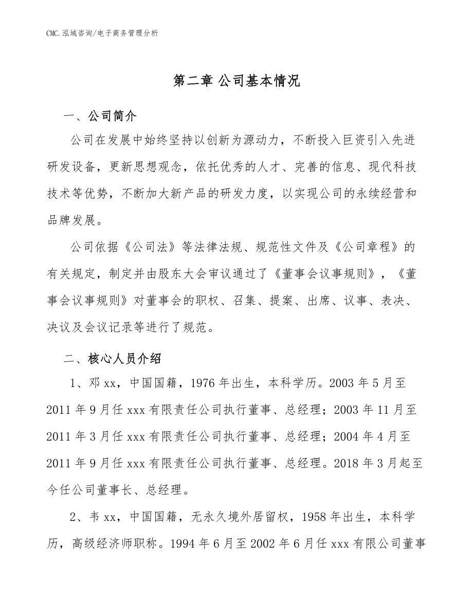 球墨铸铁项目电子商务管理分析(模板)_第5页
