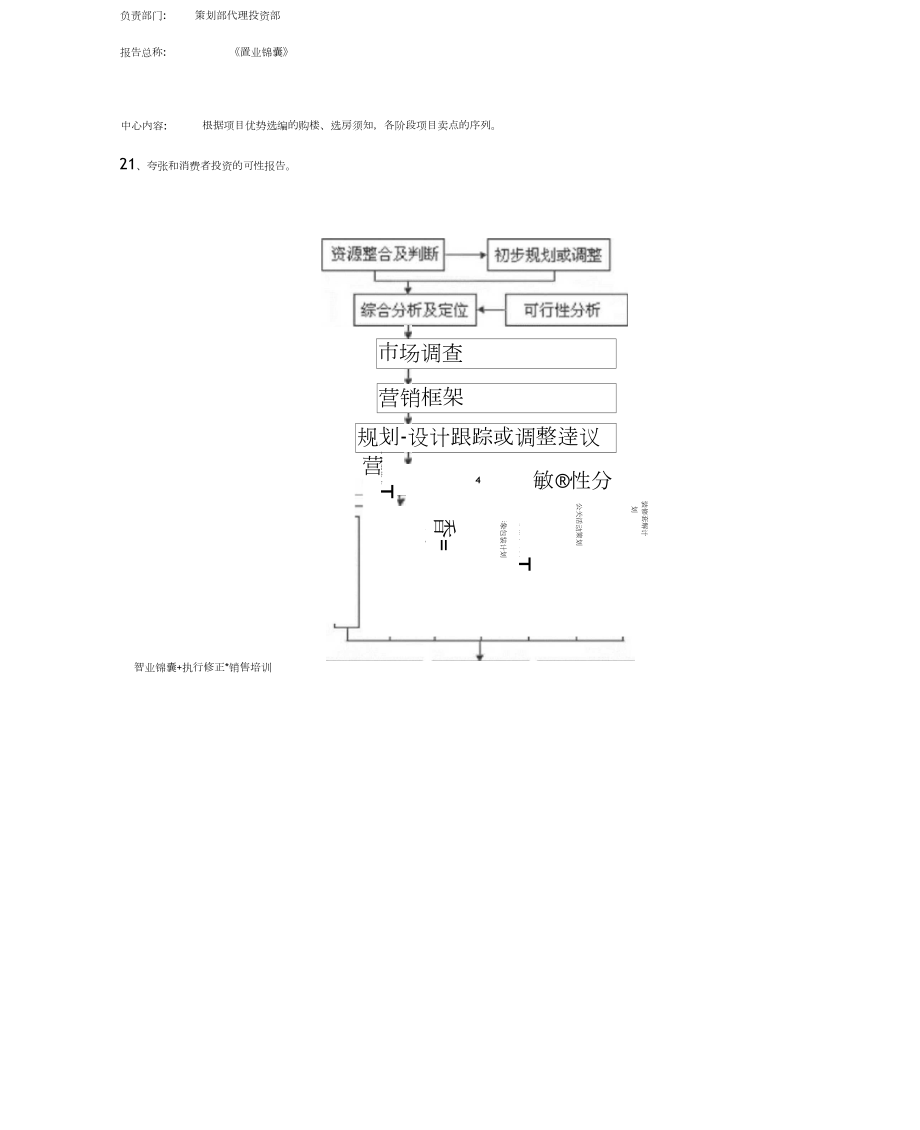 代理公司项目策划推广流程_第5页