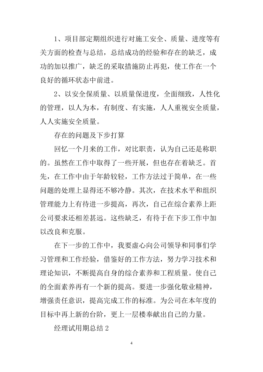 经理试用期总结通用10篇_第4页