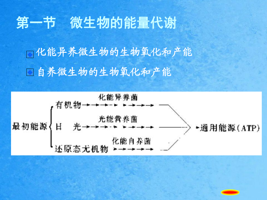 微生物的新陈代谢ppt课件_第5页