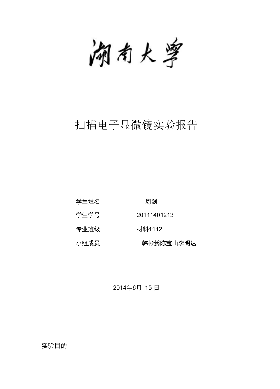 SEM試驗報告要點(diǎn)_第1頁