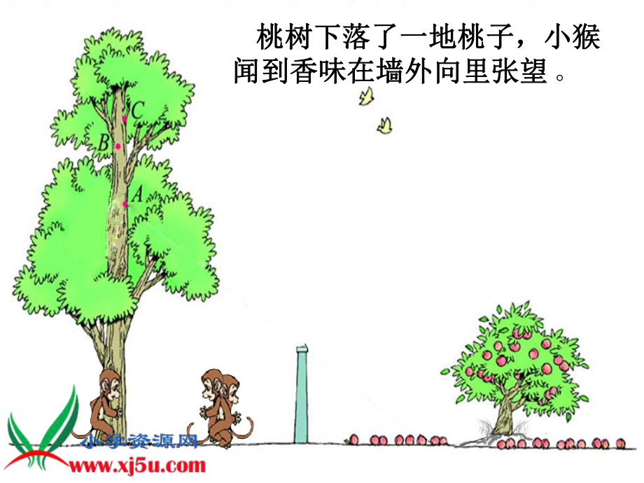 北师大版数学六年级上册《观察的范围3》课件_第4页