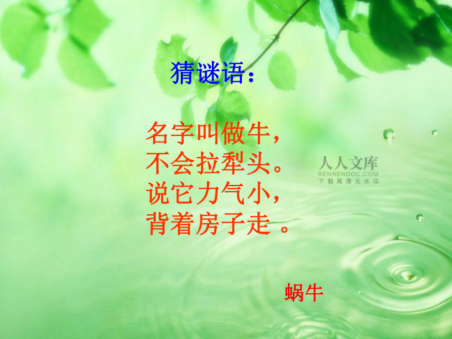 蜗牛与黄鹂鸟课件_第2页