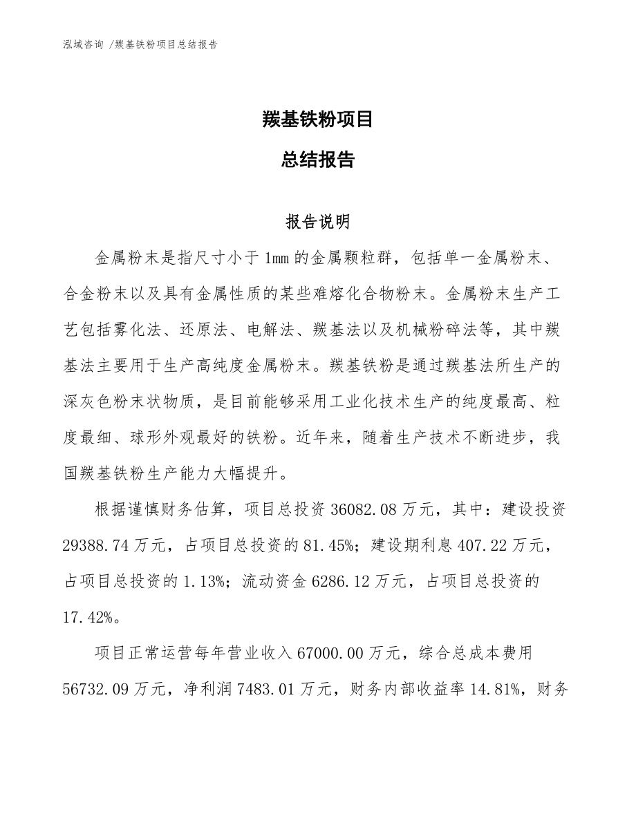 羰基鐵粉項目總結報告(模板參考)_第1頁
