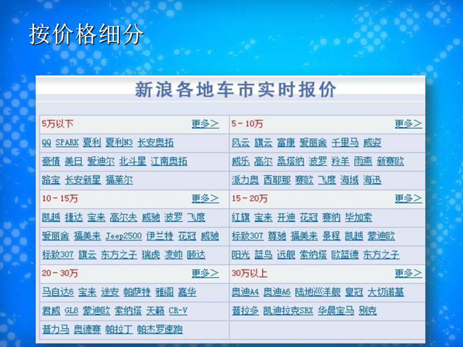 中國汽車市場細分現(xiàn)狀_第5頁