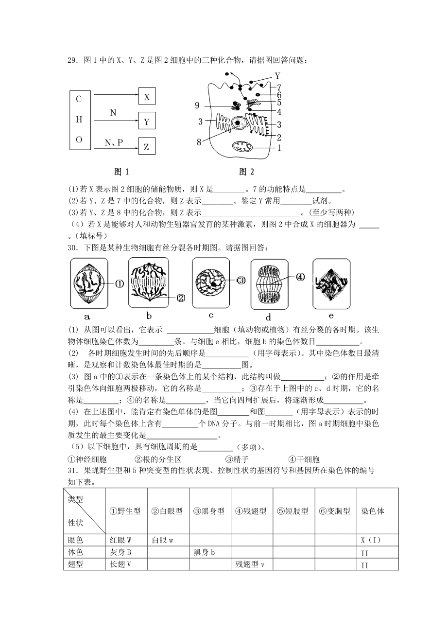 江苏洪泽中学12-13高一上学期期末考试--生物_第5页