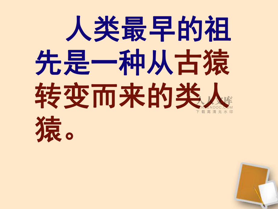 七年级历史上册第一单元第1课祖国境内的远古居民课件人教新课标版_第2页