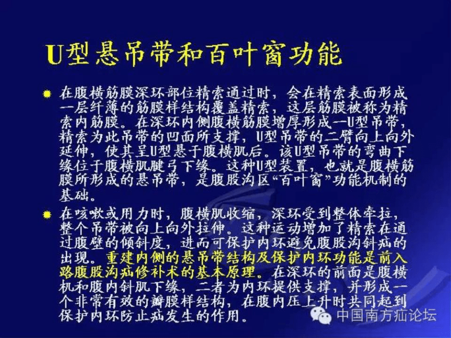 疝和腹壁外科一些概念的更.ppt_第3頁
