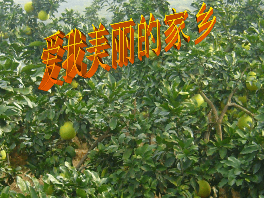 分数大小比较_第1页