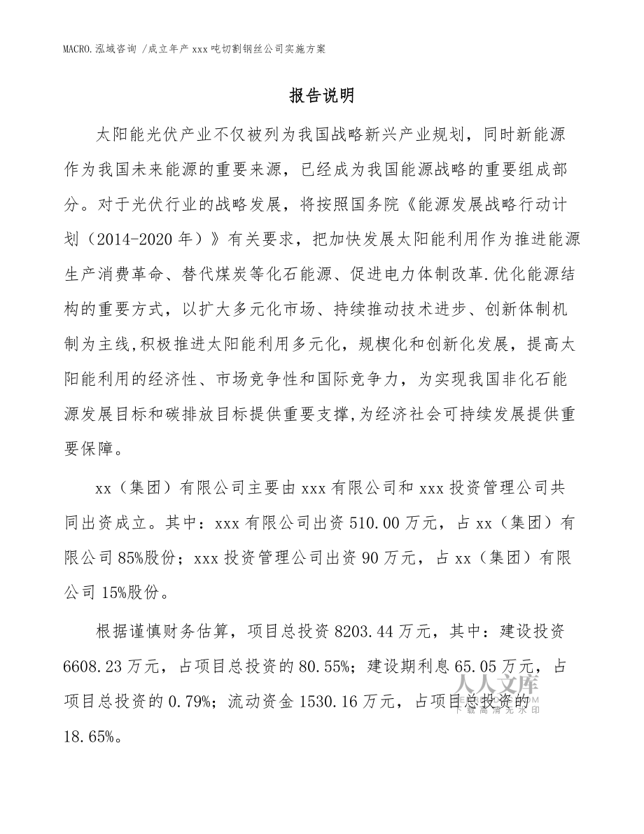 成立年产xxx吨切割钢丝公司实施方案(范文模板)_第2页