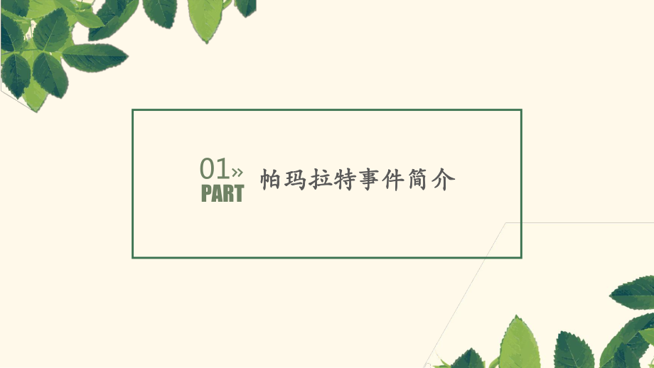 帕瑪拉特審計(jì)案例分析-模板_第3頁