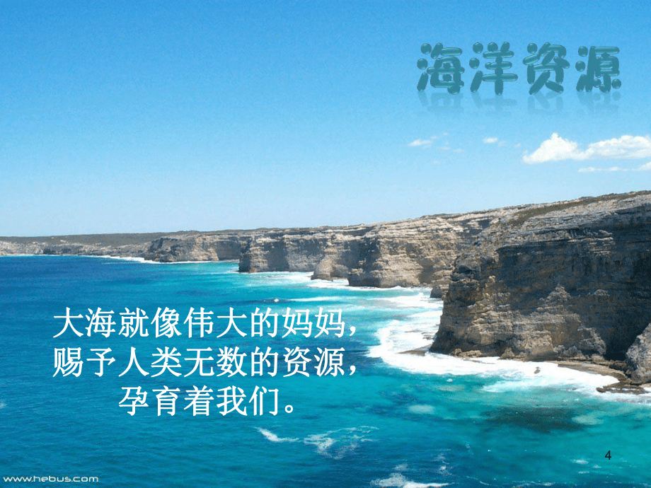 奇妙的海洋世界(课堂PPT)_第4页