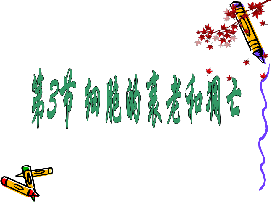 第3節細胞的衰老和凋亡-_第1頁