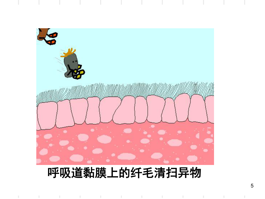 人体对抗病原体感染的非特异性防卫(课堂PPT)_第5页