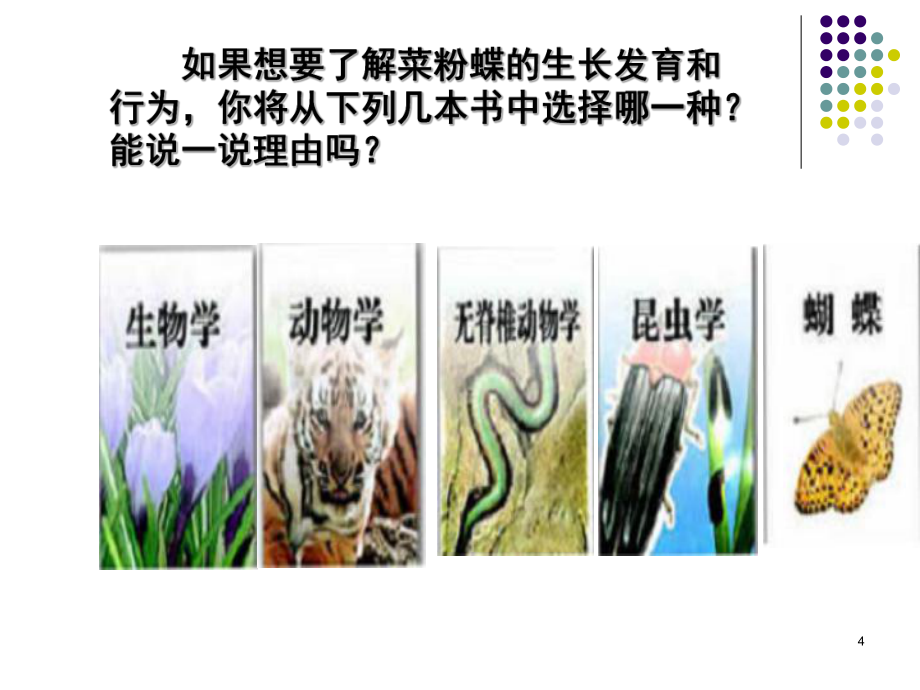 尝试对生物进行分类（课堂PPT）_第4页