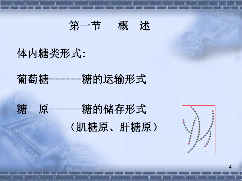 糖代谢(2014.11)_第4页